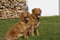 Bild 13