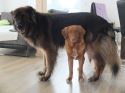 Bild 2